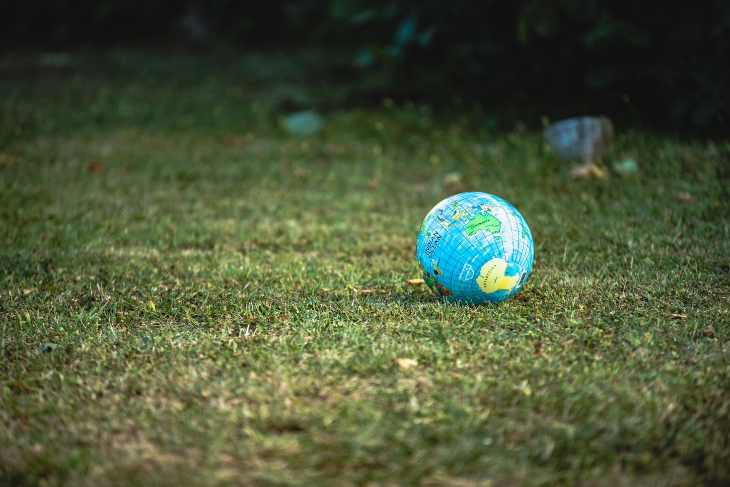 The Role of Knowledge Sharing in Sustainability